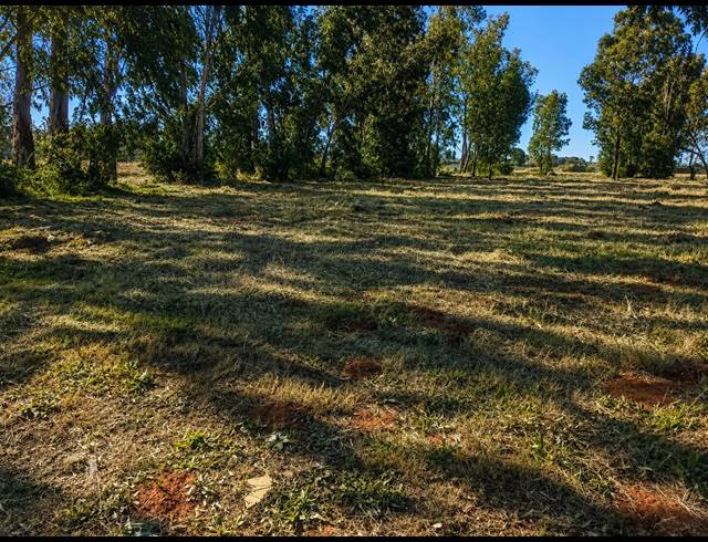 1,119M² VACANT LAND FOR SALE IN KOOKRUS